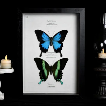 2054 Оригинални украшения във формата на пеперуди в рамката за отношение, Окачените картини, мостри, подаръци за влюбени за рожден Ден, декорация за стая, творчество