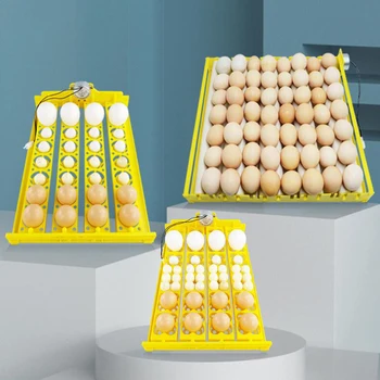 Инкубатор за яйца Автоматично обръща яйца Обзавеждане за инкубация на домашни птици за пилета, патици и други птици