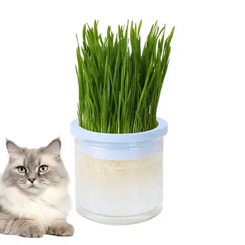 Домашна котка, Изваряване на билки, Отглеждане на тава, ястие, оранжерия, Хидропоника, Бистро завод за поникване на котешка трева, гърне за отглеждане в развъдници